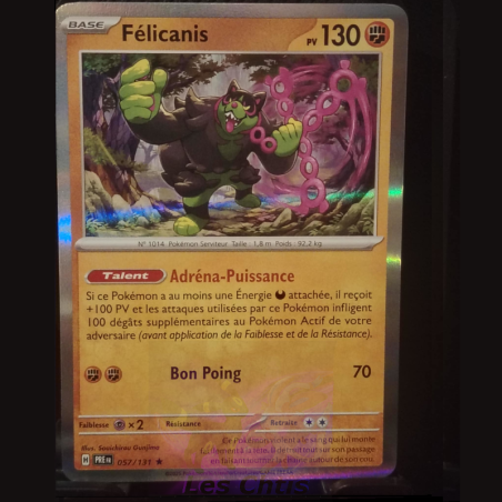 Félicanis 57/131