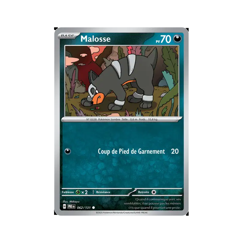 Malosse 62/131