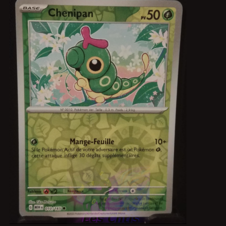 Chenipan 10/165
