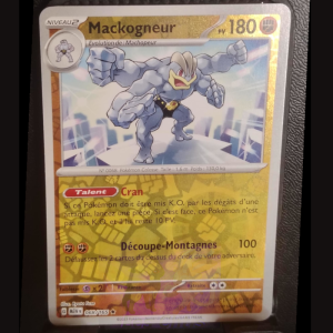 Mackogneur 68/165