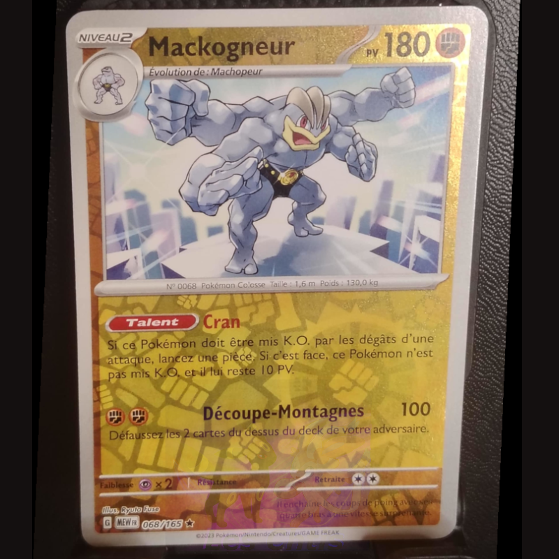 Mackogneur 68/165