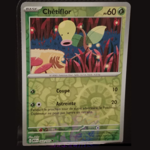 Chétiflor 69/165