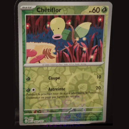 Chétiflor 69/165