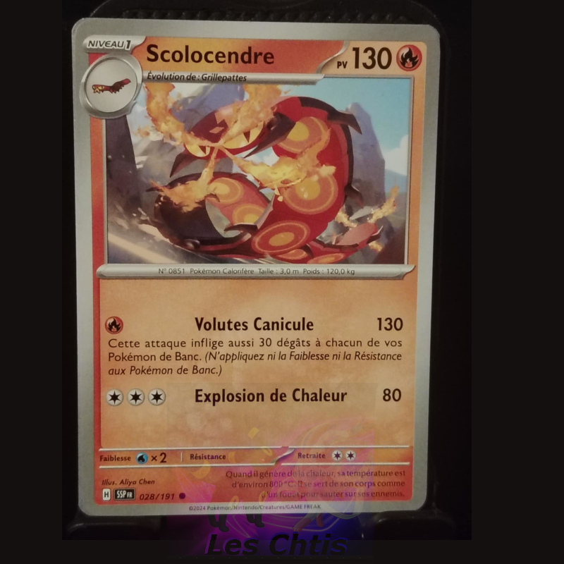 Scolocendre 28/191