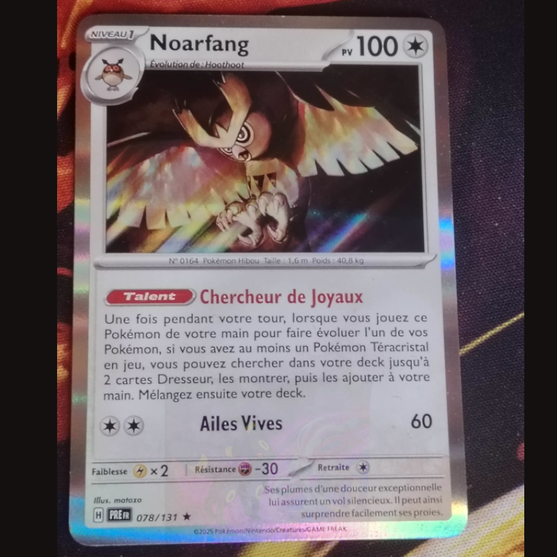 Noarfang 78/131