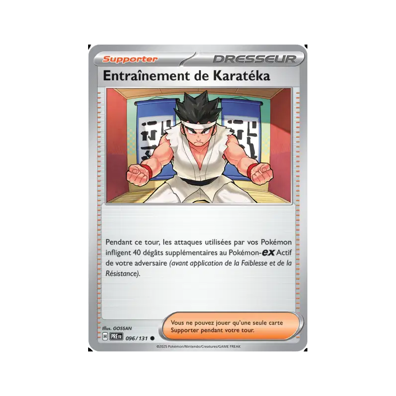 Entraînement de Karatéka 96/131