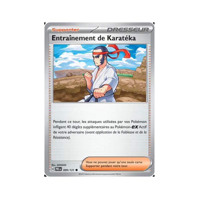 Entraînement de Karatéka 99/131