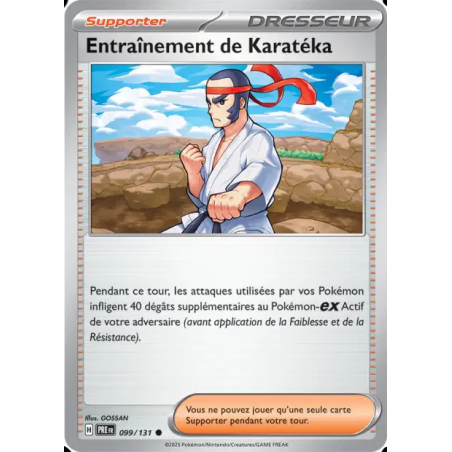 Entraînement de Karatéka 99/131