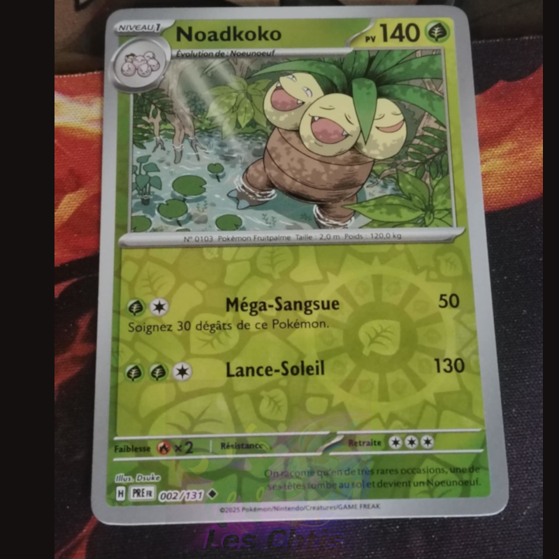 Noadkoko 2/131