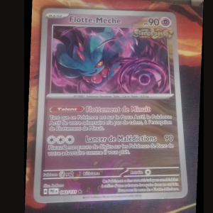 Flotte-Mèche 43/131