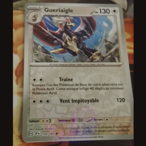 Gueriaigle 153/191