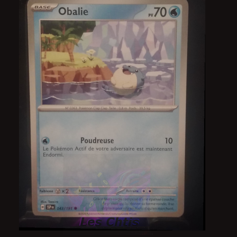 Obalie 43/191