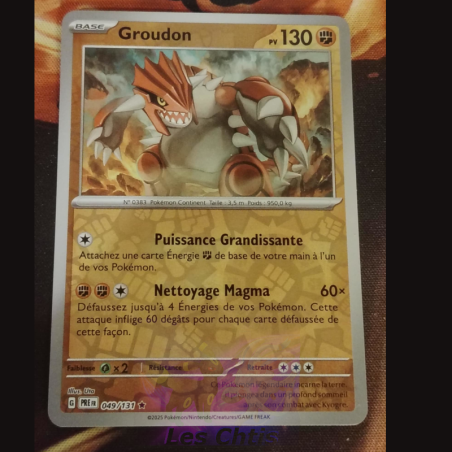 Groudon 49/131