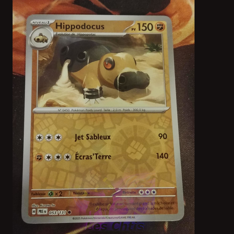 Hippodocus 53/131
