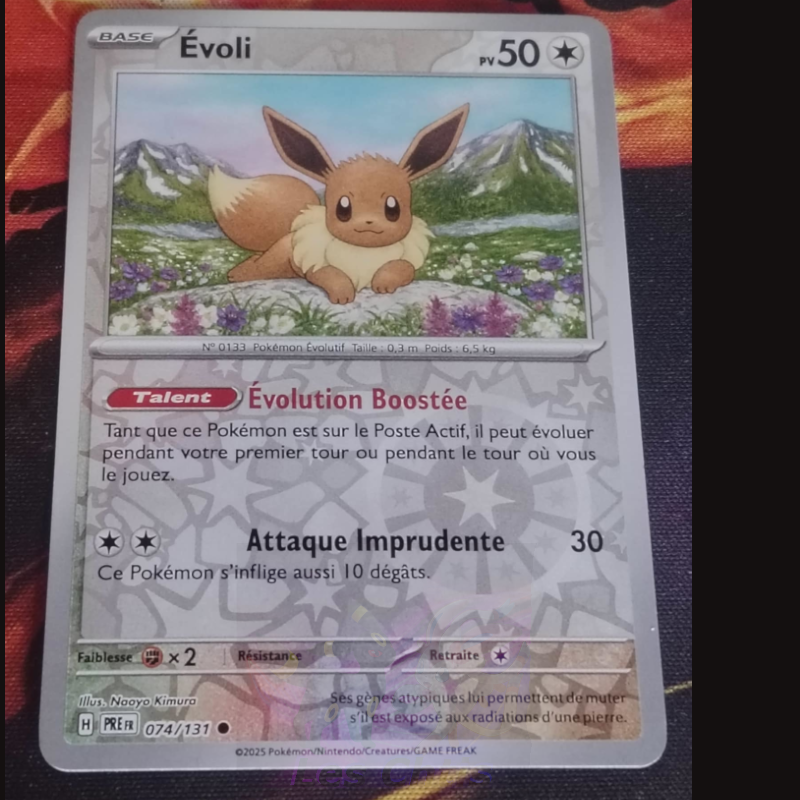 Évoli 74/131