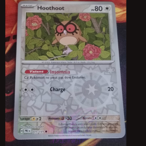 Hoothoot 77/131