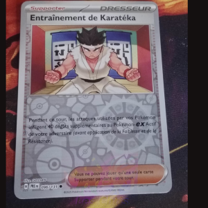 Entraînement de Karatéka 96/131