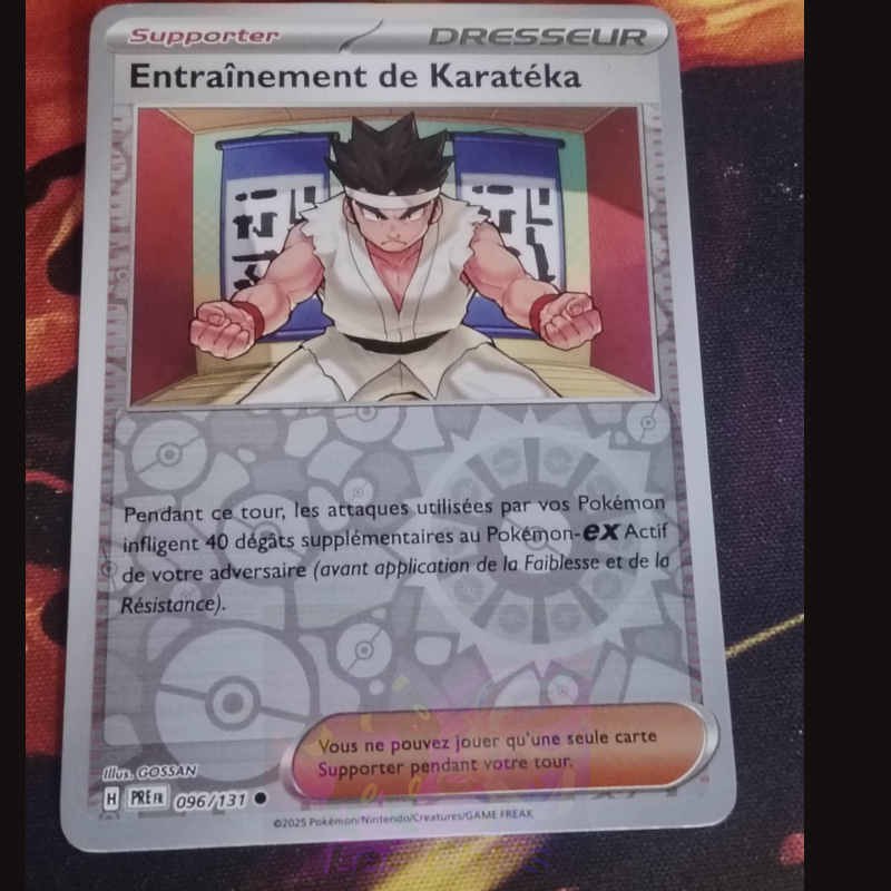 Entraînement de Karatéka 96/131