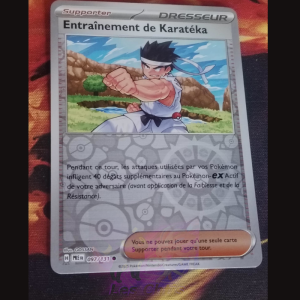 Entraînement de Karatéka 97/131