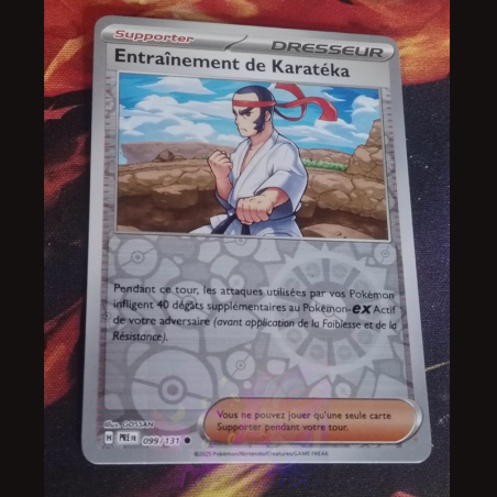 Entraînement de Karatéka 99/131