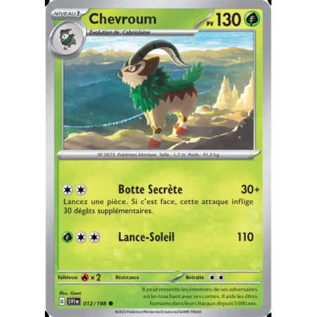 Chevroum 12/198