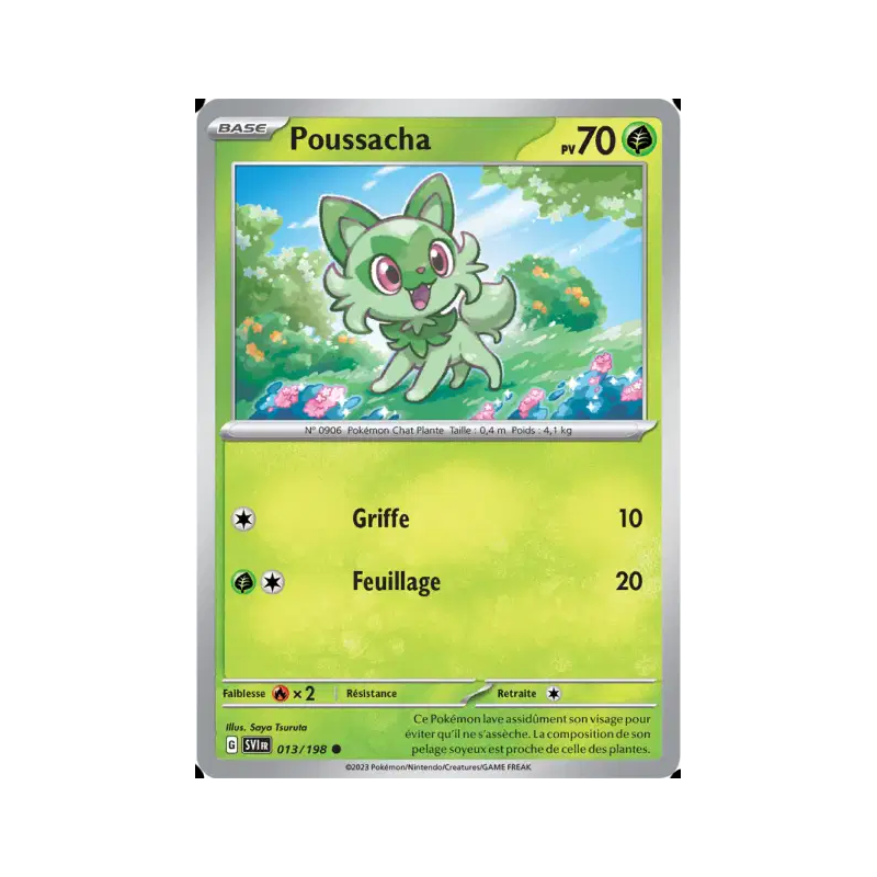 Poussacha 13/198