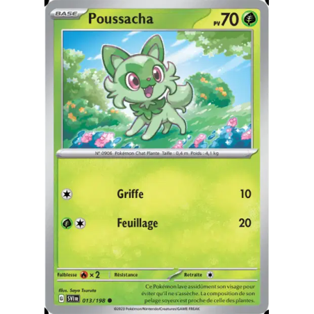 Poussacha 13/198