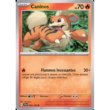 Caninos 30/198