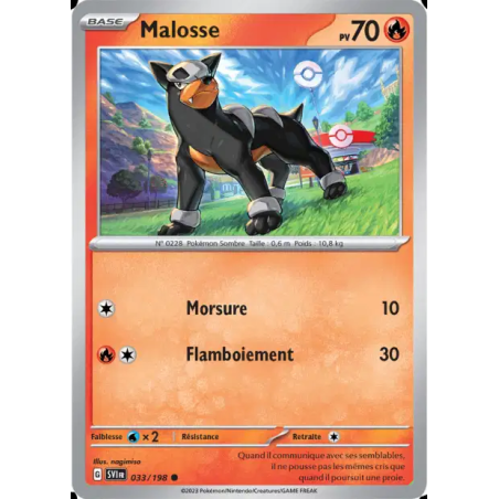 Malosse 33/198