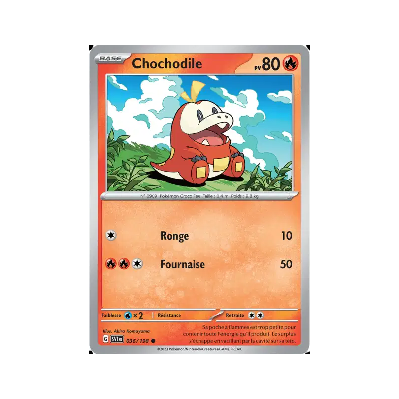 Chochodile 36/198