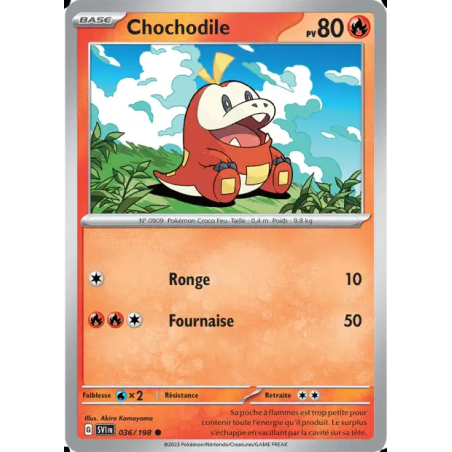 Chochodile 36/198