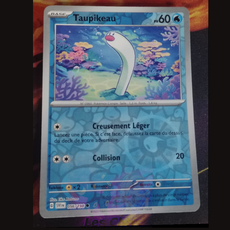 Taupikeau 56/198