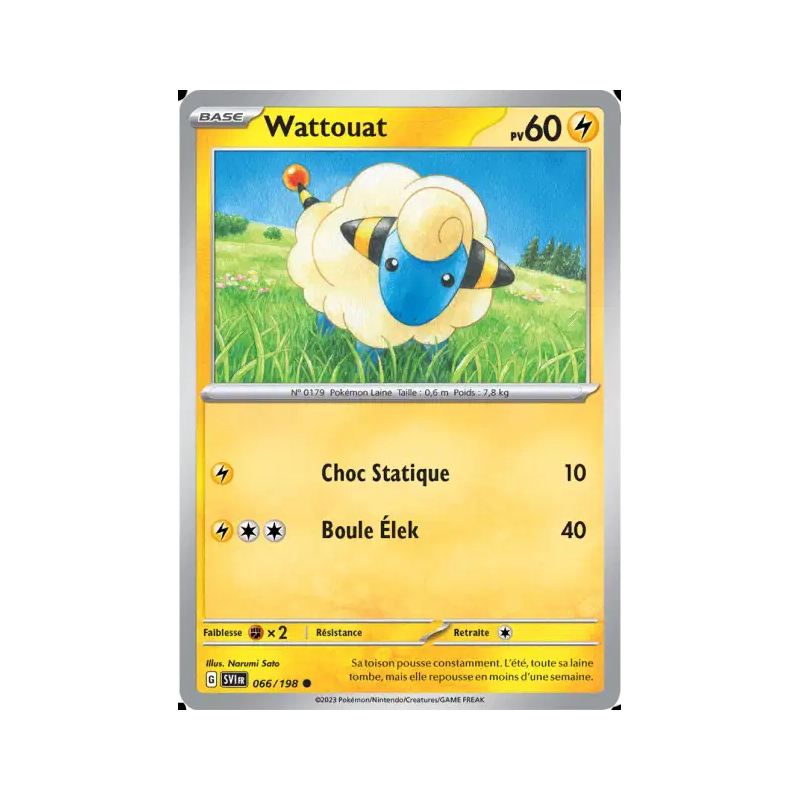 Wattouat 66/198