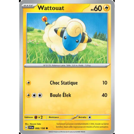 Wattouat 66/198