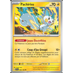 Pachirisu 68/198