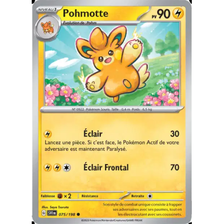 Pohmotte 75/198