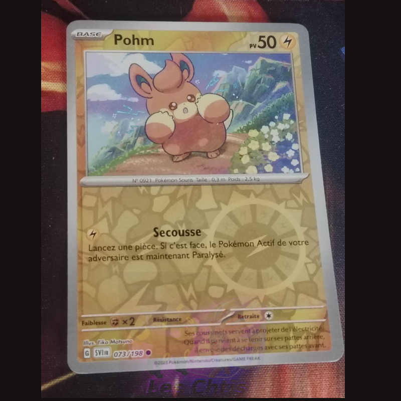 Pohm 73/198