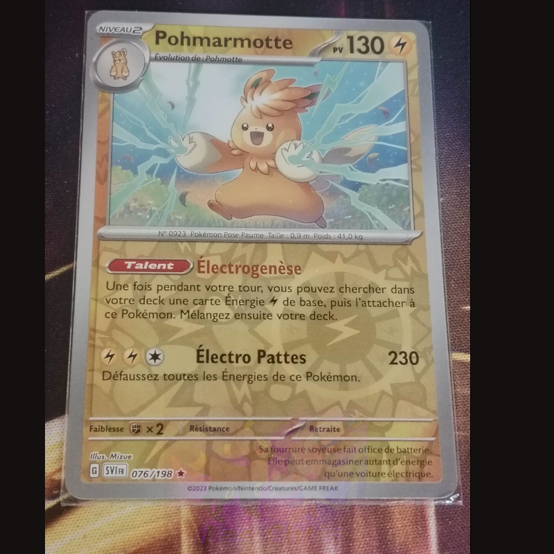 Pohmarmotte 76/198