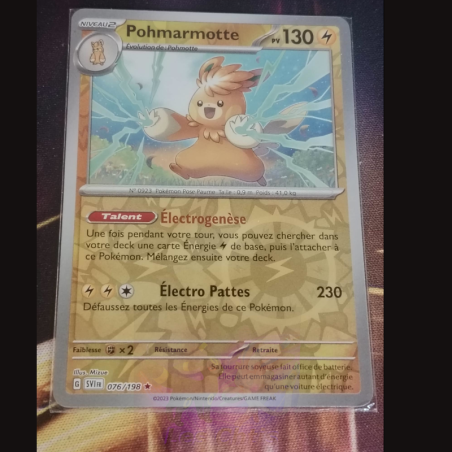 Pohmarmotte 76/198