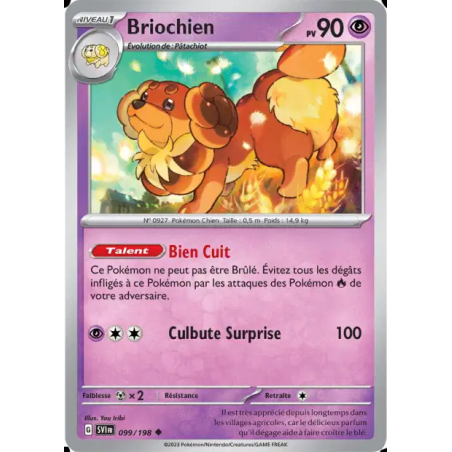Briochien 99/198