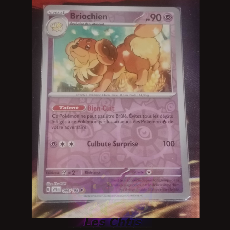 Briochien 99/198