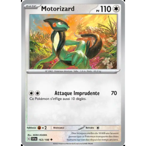 Motorizard 163/198