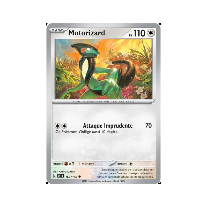 Motorizard 163/198