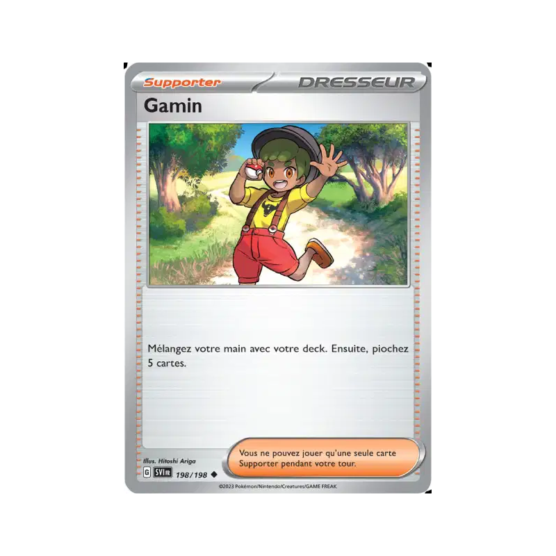 Gamin 198/198