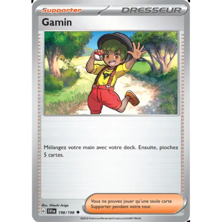 Gamin 198/198