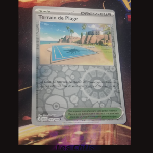 Terrain de Plage 167/198