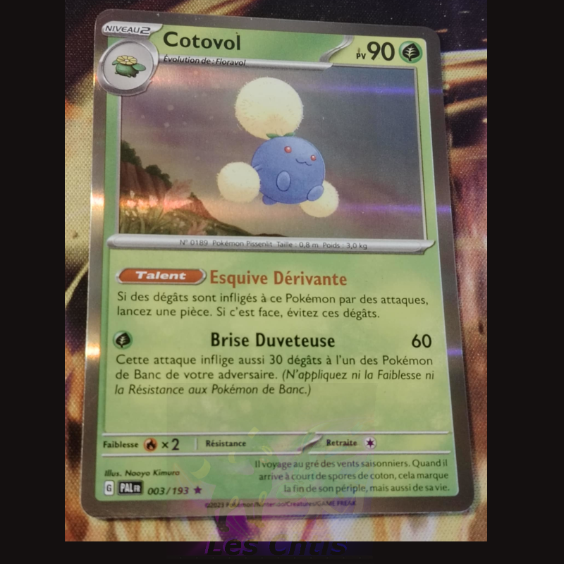 Cotovol 3/193
