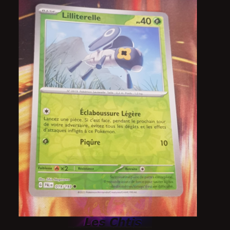 Lilliterelle 19/193