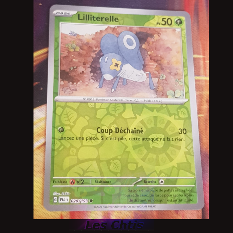 Lilliterelle 20/193