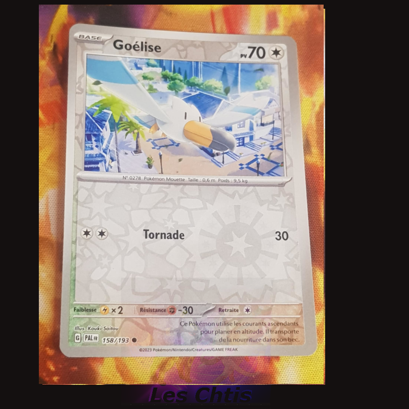 Goélise 158/193